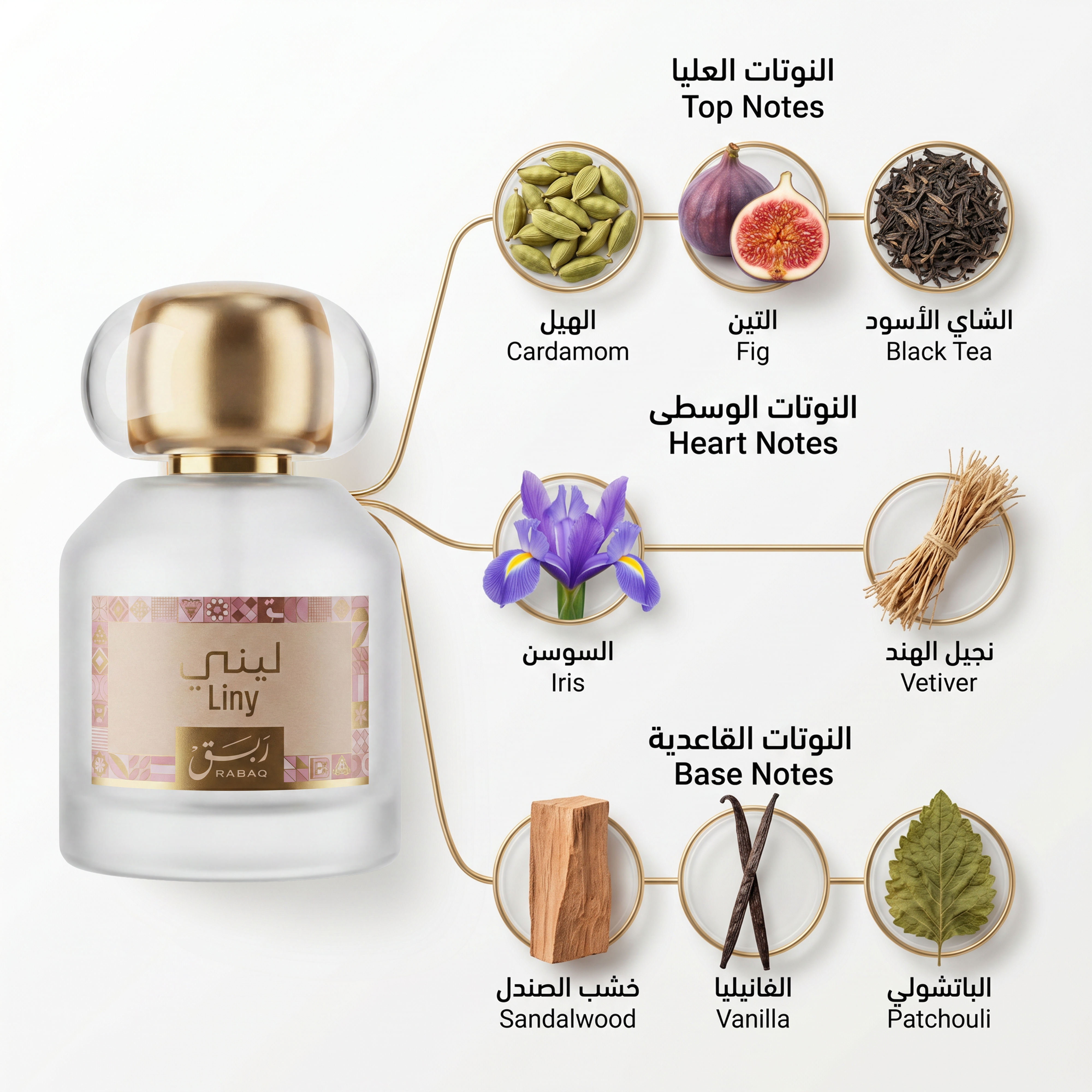تفاصيل تصميم عبوة عطر ليني - Liny من ربق 100 مل